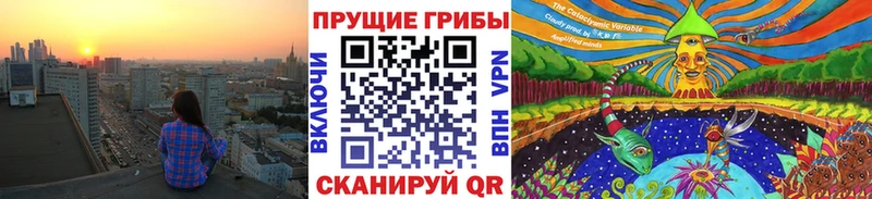 Псилоцибиновые грибы GOLDEN TEACHER Суджа